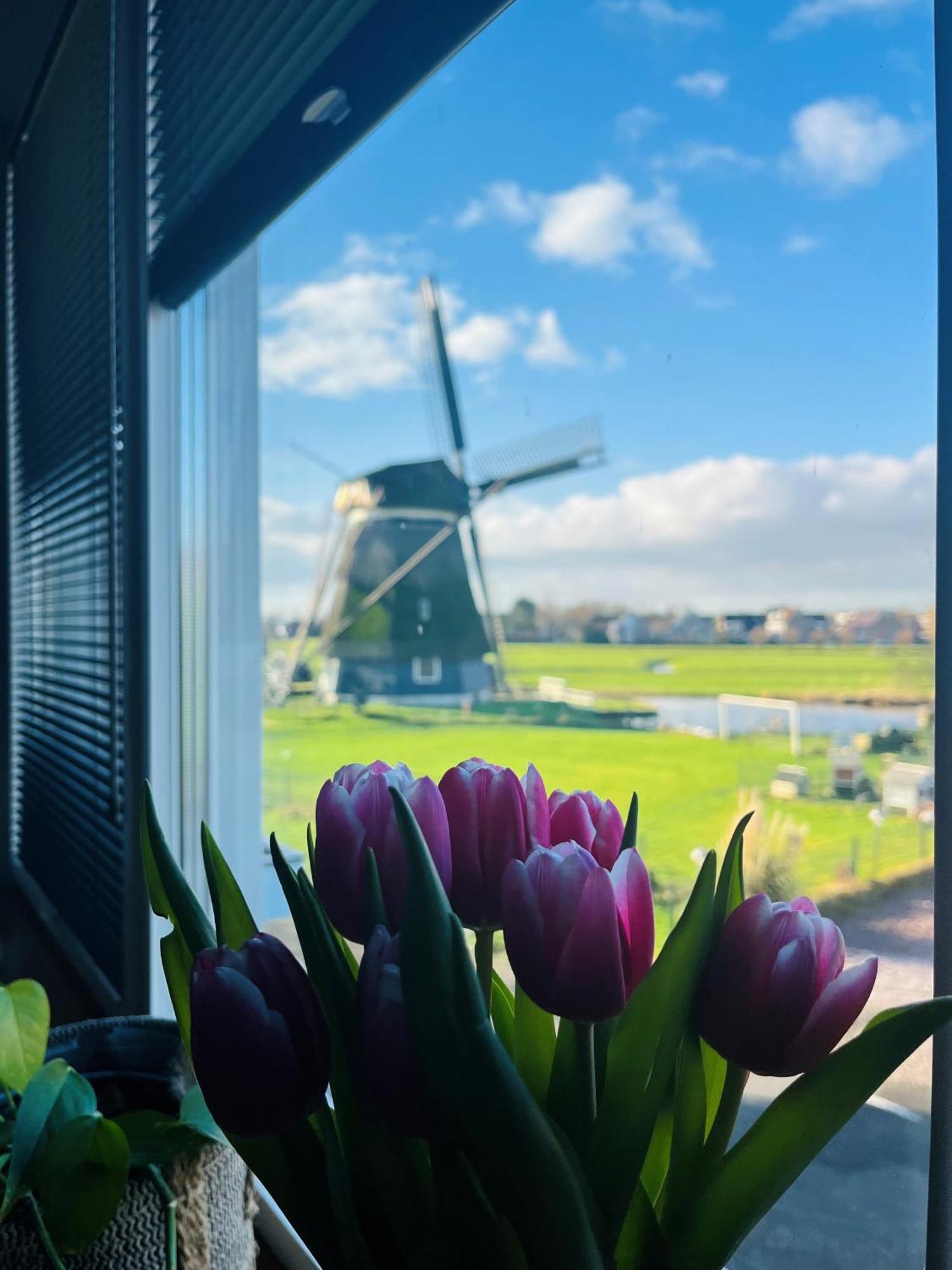 Bed and Breakfast Millsight Uitgeest Esterno foto